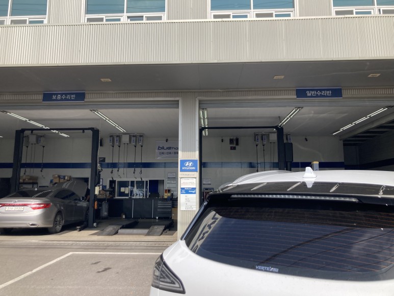 친절과 현대 블루 핸즈 곡반점 역시나 13