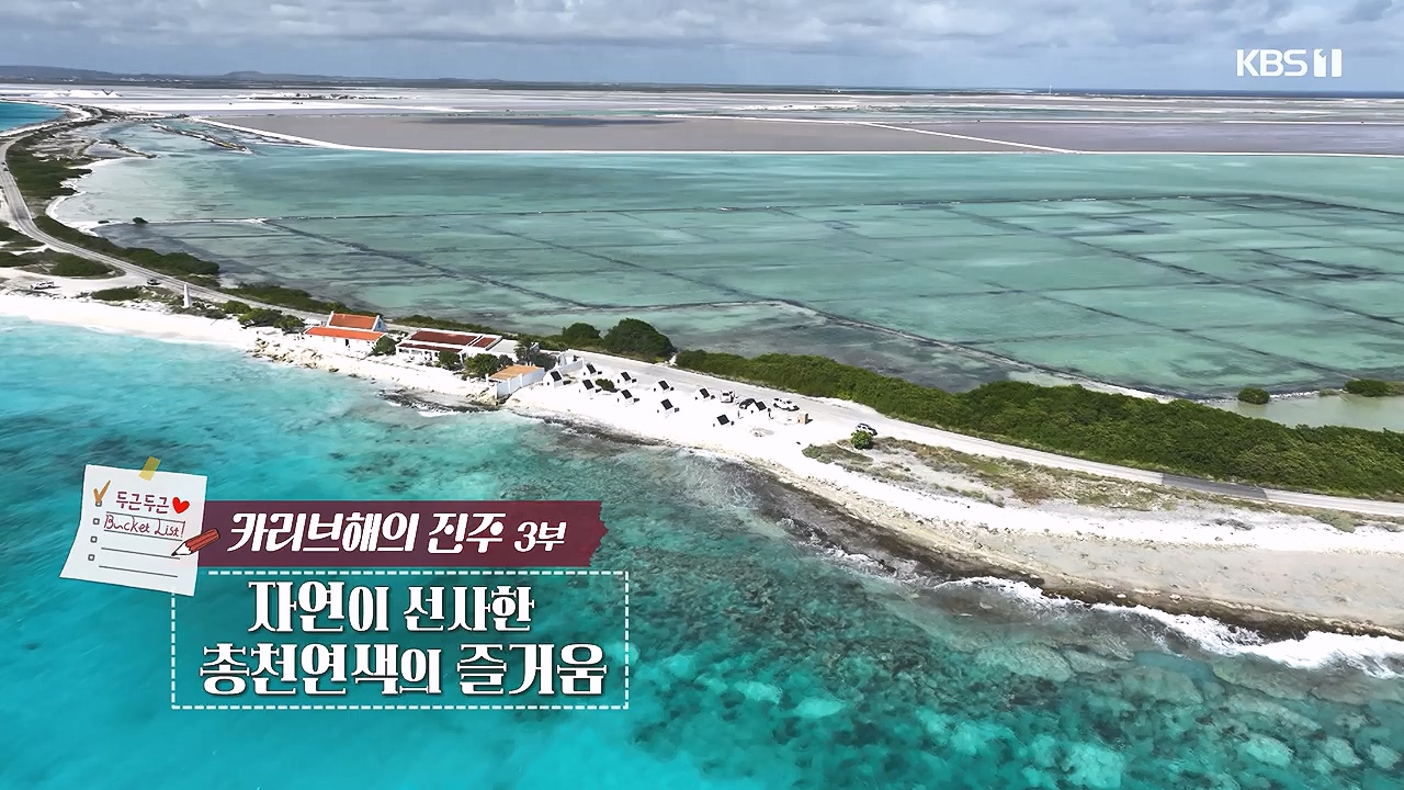 걸어서 세계속으로 두근두근 버킷리스트.E830.240212p-NEXT.mp4_20240731_200813.275.jpg