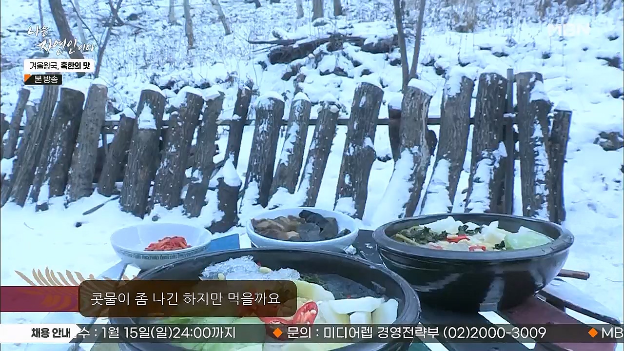 나는 자연인이다.E536.230112p.H264-F1RST.mp4_20230112_193521.289.jpg