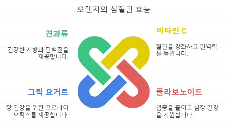 심혈관 건강 오렌지