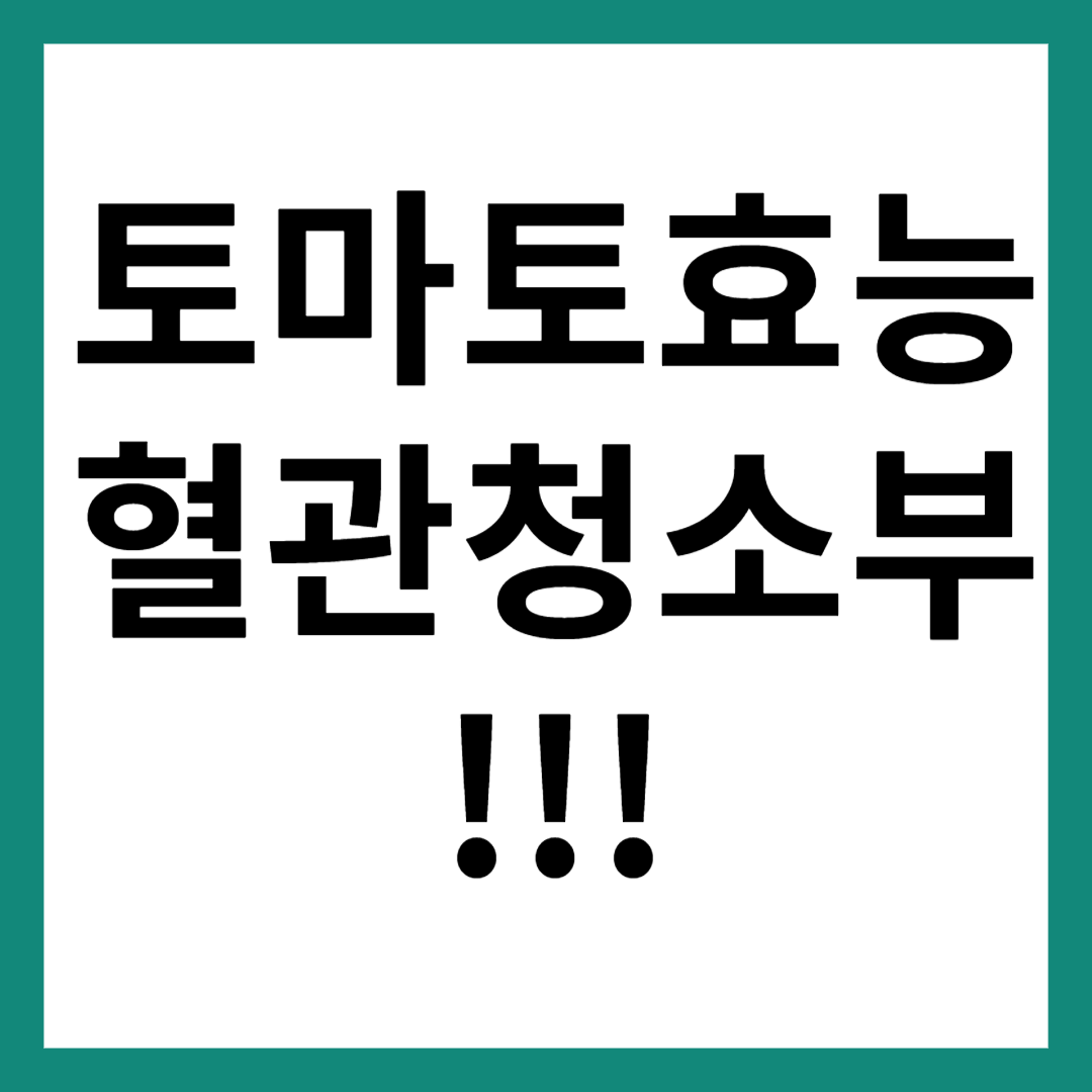 토마토 효능