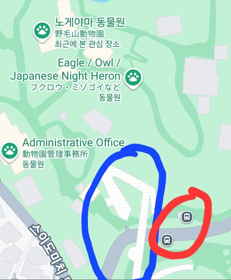 img.jpg