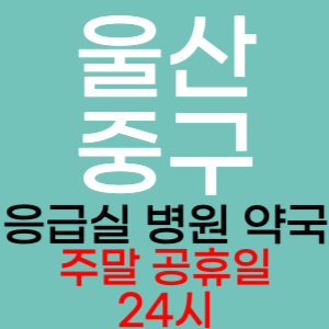 울산 주말 공휴일 약국 병원 응급실 찾기 토요일 일요일 야간진료 24시 심야 열린약국 영업시간 진료시간 추천 잘하는곳 수술 긴급