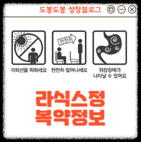 라식스정 복약정보