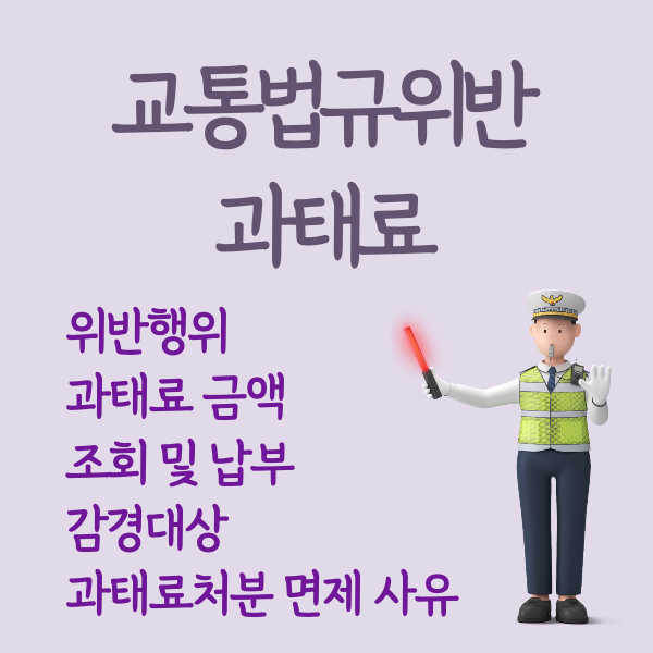 교통법규위반 과태료 안내