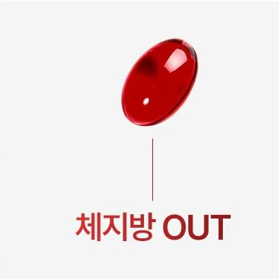 버닝다이어트 이미지
