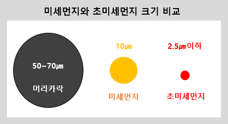 미세먼지와 초미세먼지 크기 비교