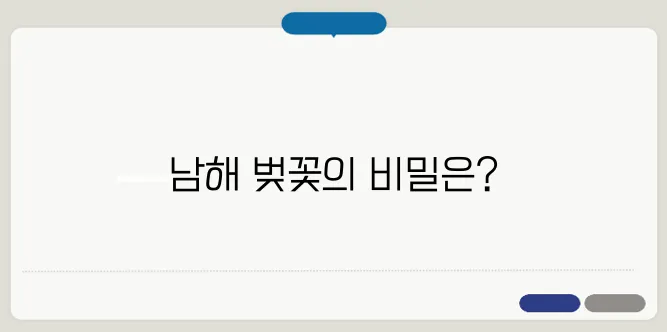남해 벚꽃 개화시기 & 벚꽃 드라이브 코스 정리
