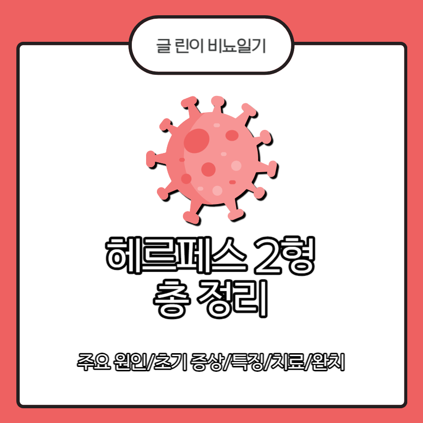  헤르페스 2형 총 정리 : 주요 원인/초기 증상/특징/치료/완치