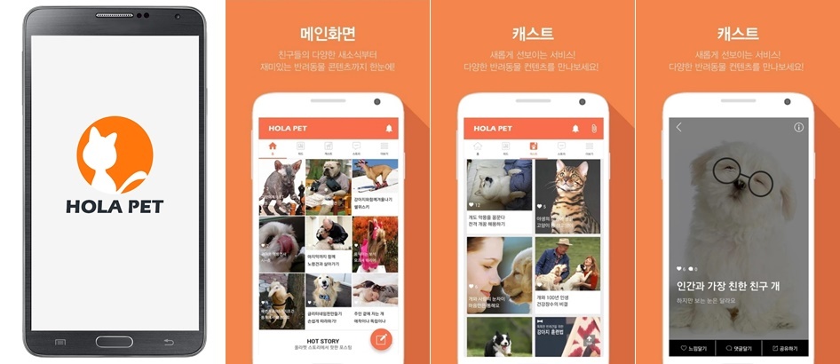 반려동물-어플-필수-설치-강아지-고양이-앱-추천