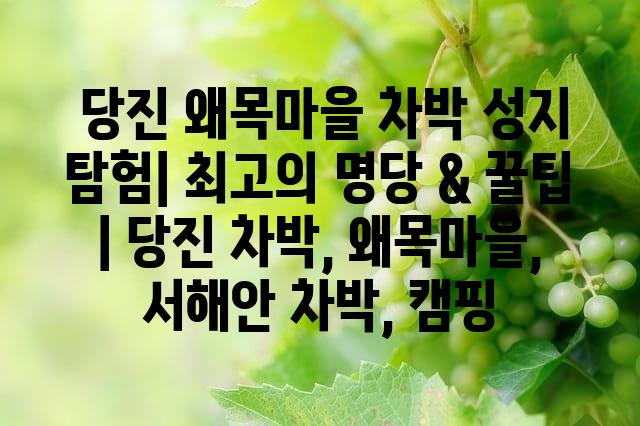 랜덤101