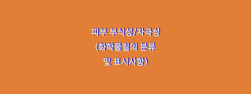  피부 부식성/자극성(화학물질의 분류 및 표시사항)