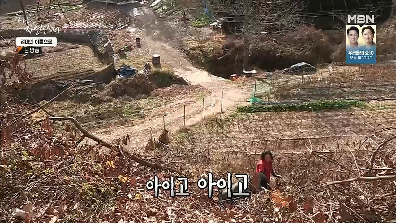 나는 자연인이다.E531.221208p.H264-F1RST.mp4_20221208_204228.730.jpg