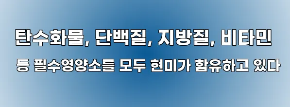  탄수화물, 단백질, 지방질, 비타민 등 필수영양소를 모두 현미가 함유하고 있다