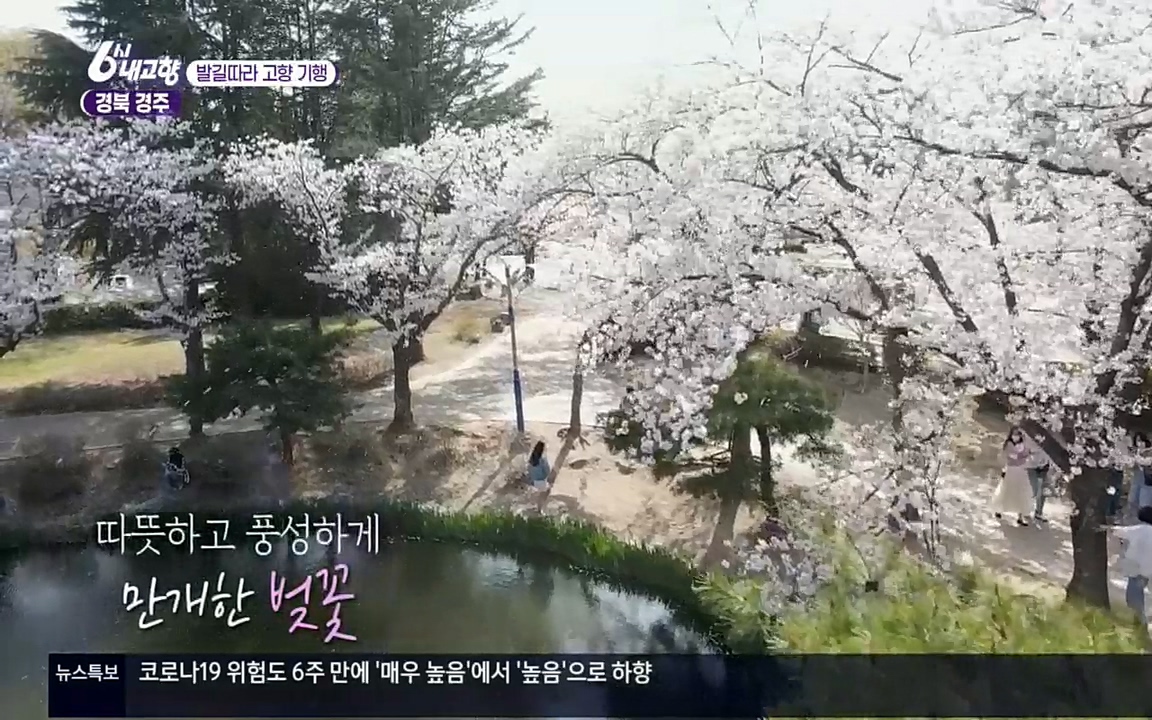 6시 내고향.E7510.220414p.H264-F1RST.mp4_20220419_185008.286.jpg