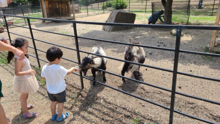 서울 근교 아이와 갈만한곳 [서울근교 갈만한곳] 남양주 산들소리수목원 43