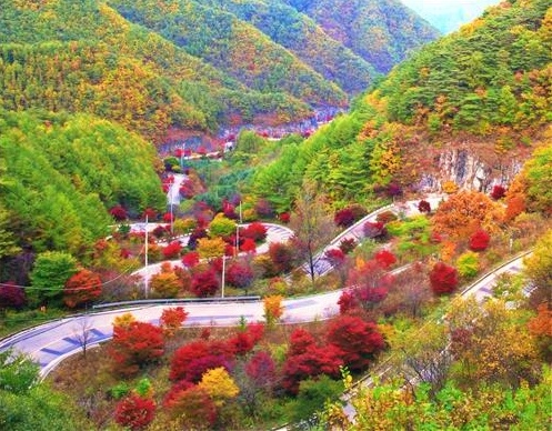  굿모닝 대한민국 산악슬라이딩 보발재 도담삼봉 황보돛배 충북 단양