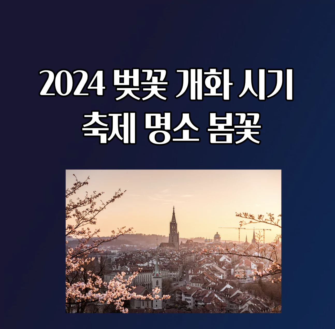 2024 벚꽃 개화 시기 날짜 축제 명소 봄꽃