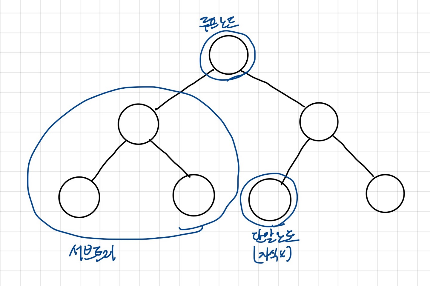 코테스 이미지