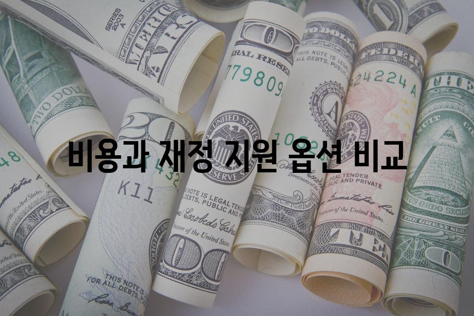 비용과 재정 지원 옵션 비교