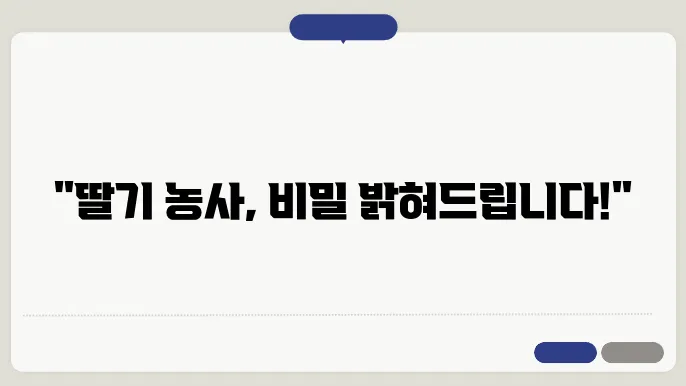 딸기 재배 모종 심기 시기 알아보기
