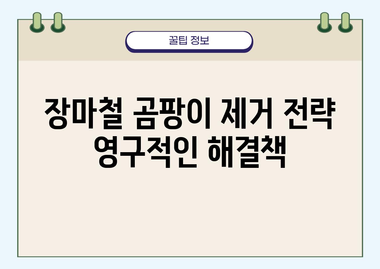 장마철 곰팡이 제거 전략 영구적인 해결책