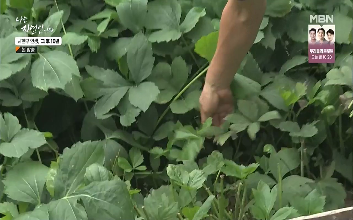 나는 자연인이다.E518.220908p.WANNA.mp4_20220908_200817.684.jpg