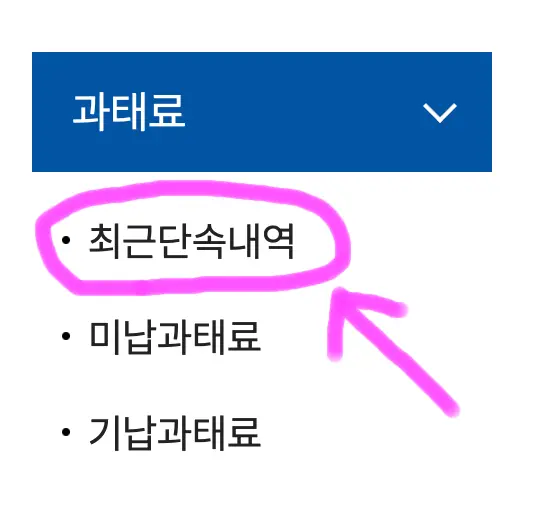 과태료 항목에 보이는 최근 단속내역을 클릭해 줍니다.