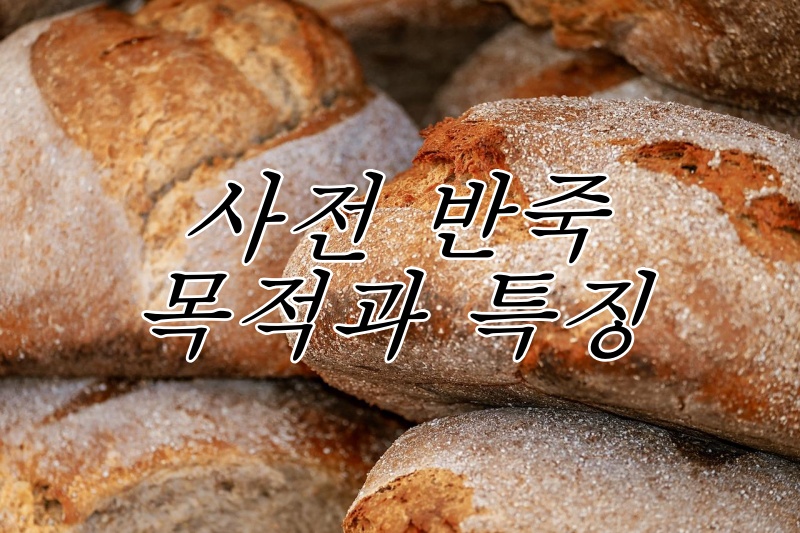  [사전발효반죽②] 사전 반죽의 목적과 특징 종류별 정리