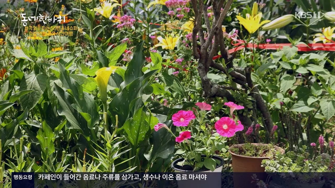동네 한 바퀴.E234.230806p-NEXT.mp4_20230810_211408.180.jpg