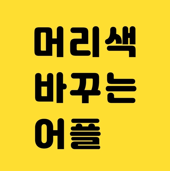  머리색 바꾸는 어플 염색전 필수