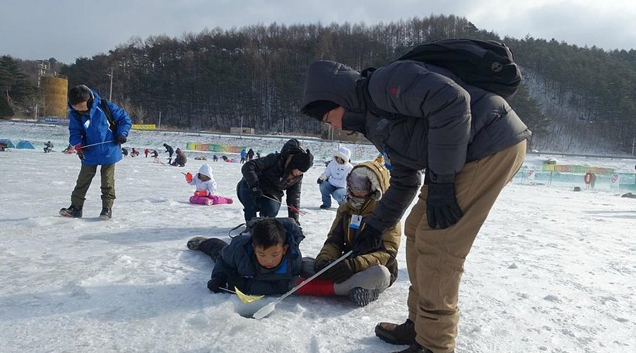 평창송어축제