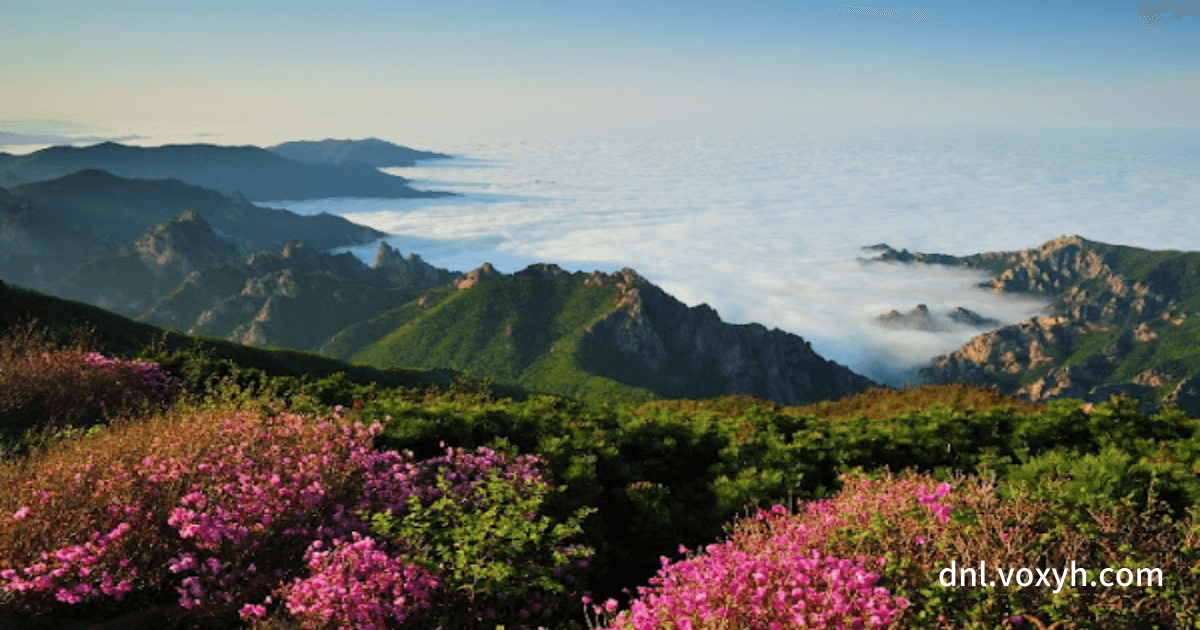 설악산 봄