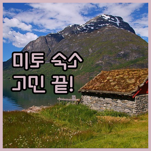 미토 여행 숙소 고민 끝 위치, 청결