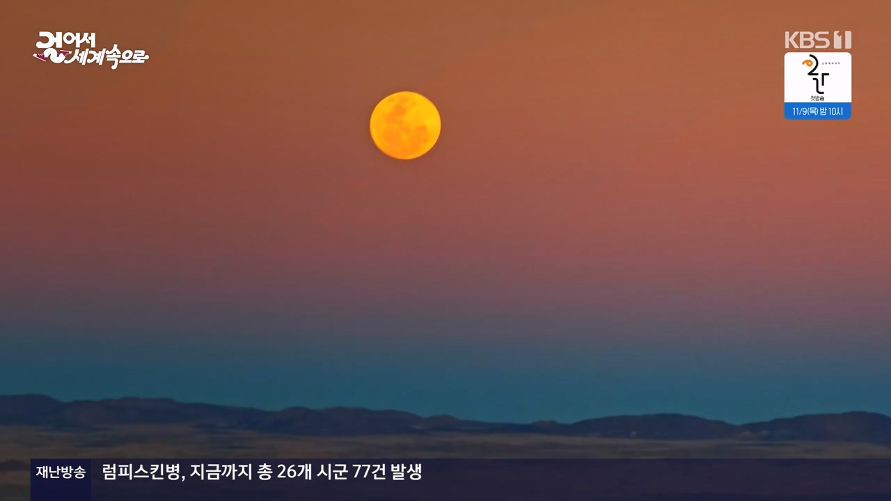 걸어서 세계속으로.E816.231105p-NEXT.mp4_20231104_175449.163.jpg