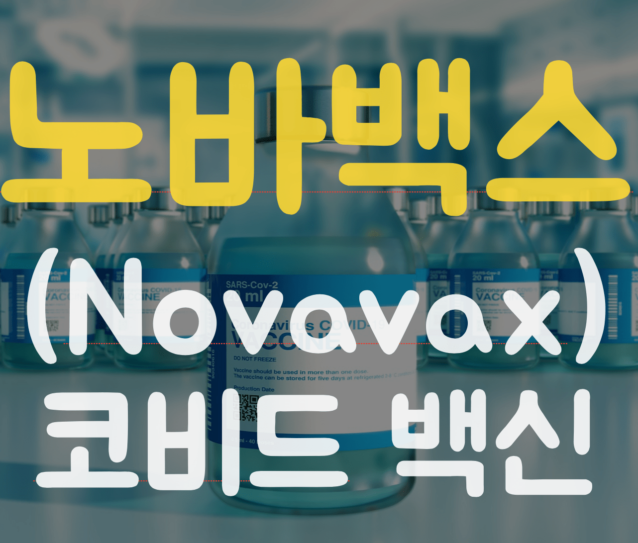 노바백스 (novavax) 코비드 백신