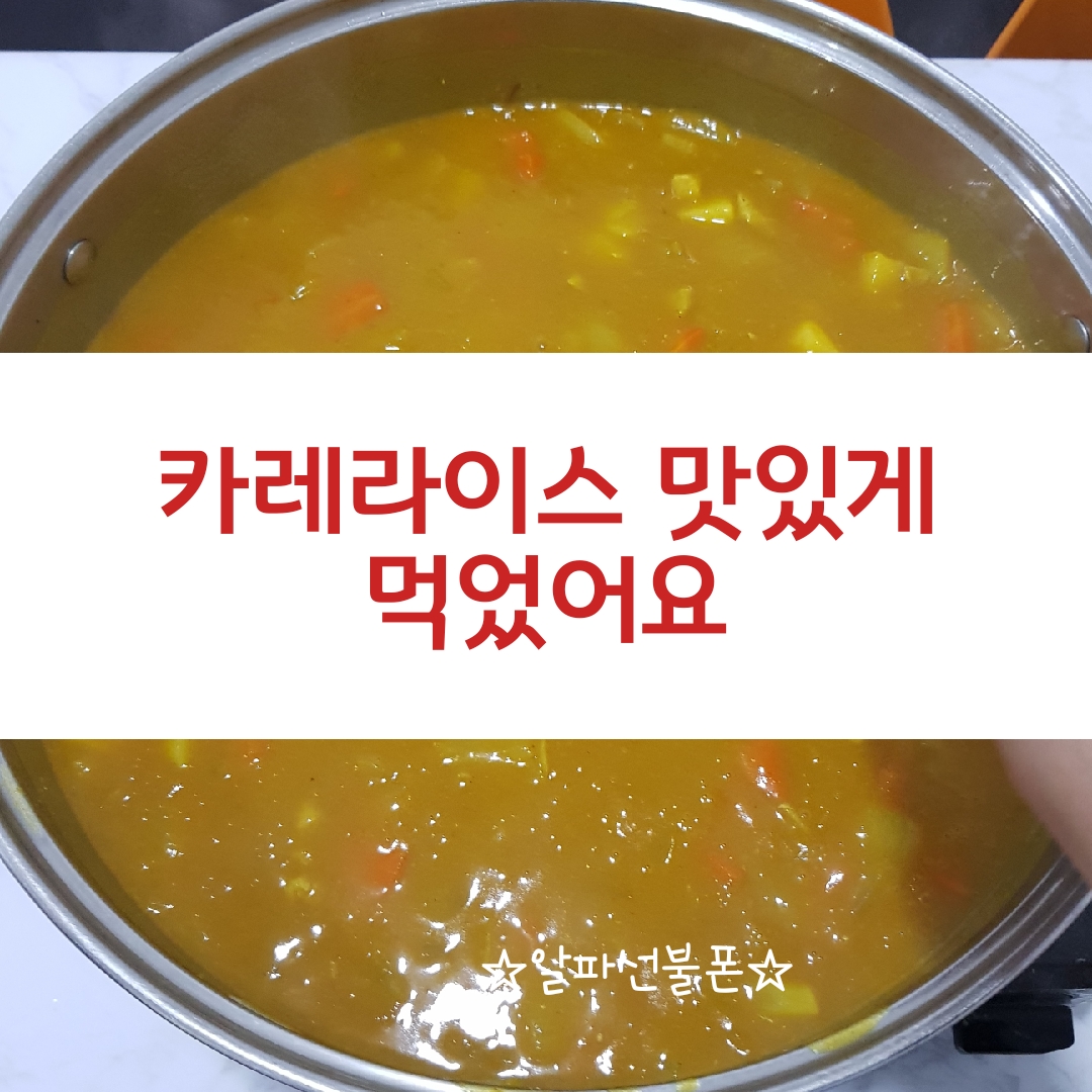  카레라이스 맛있게 먹었어요