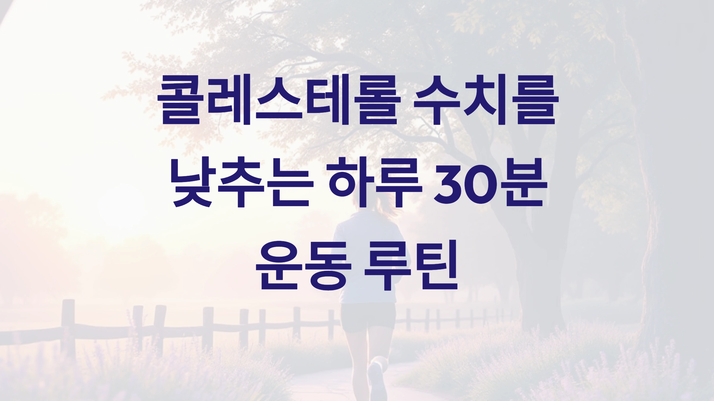 하루 30분 운동 루틴