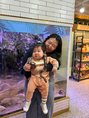 돌샌드 이미지
