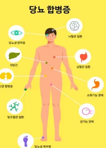 인슐린