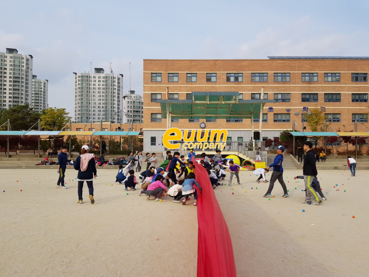  소규모 초등학교운동회 대행 이벤트업체 미니운동회