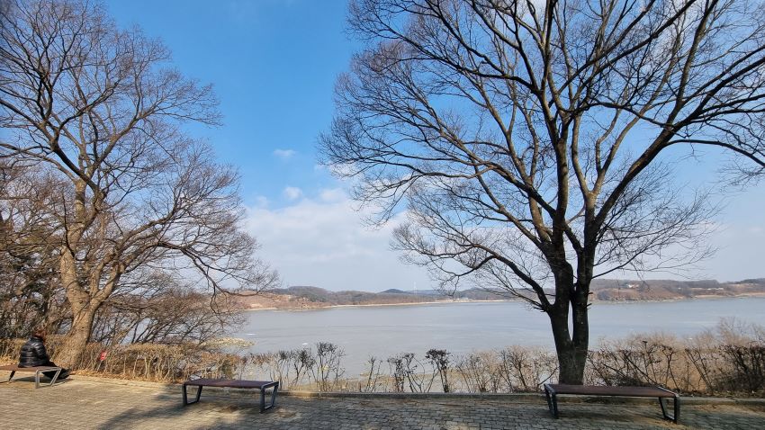 가운데 펼쳐진 바다, 푸른 하늘, 양쪽에 큰 벚나무 한그루씩, 나무 밑에 벤치 세개, 왼족 벤치에 앉아 있는 여성1, 검은 옷, 바다 건너 보이는 김포,