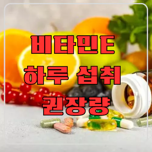 비타민E 하루 섭취 권장량