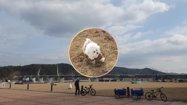 남한강 여부 강천보