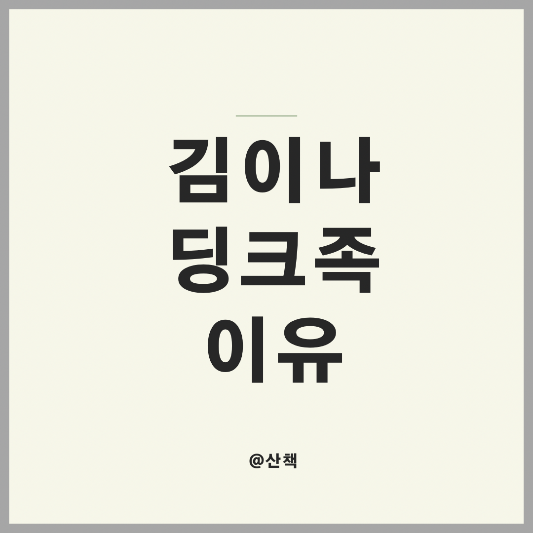  김이나가 딩크족이 된 이유