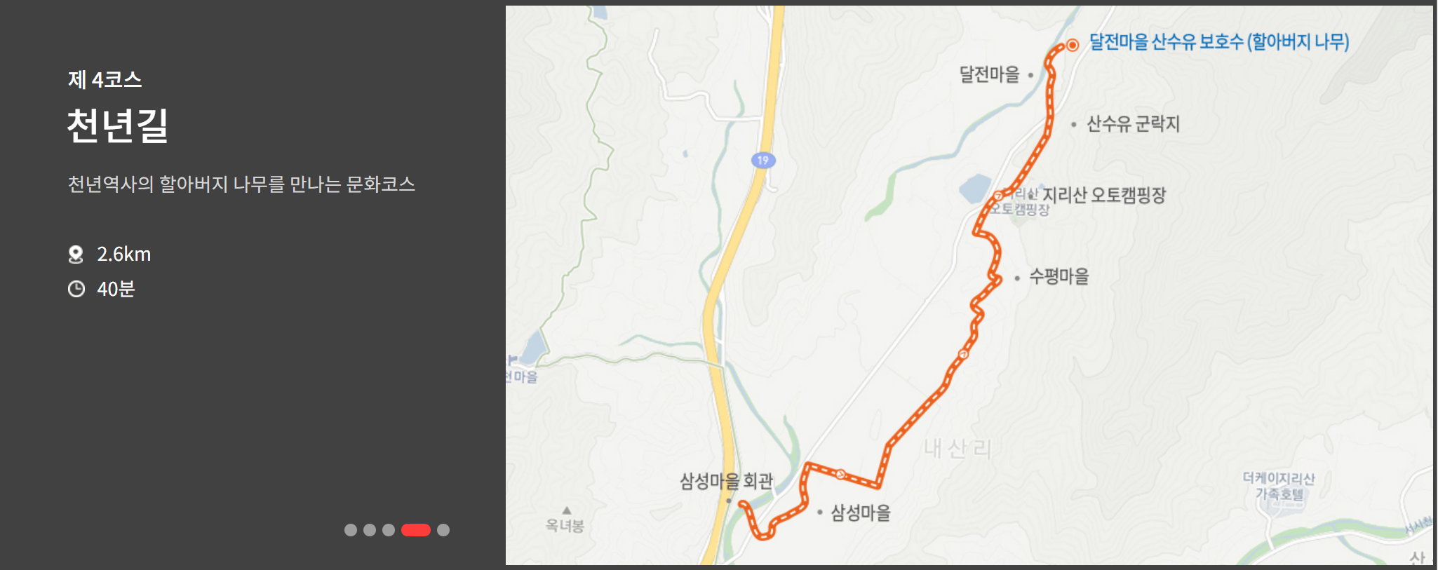2023 구례 산수유축제 산수유길
