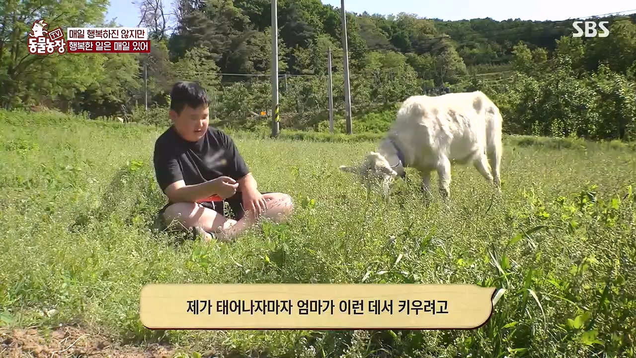 TV 동물농장.E1178.240630.ts_20240630_164643.075.jpg