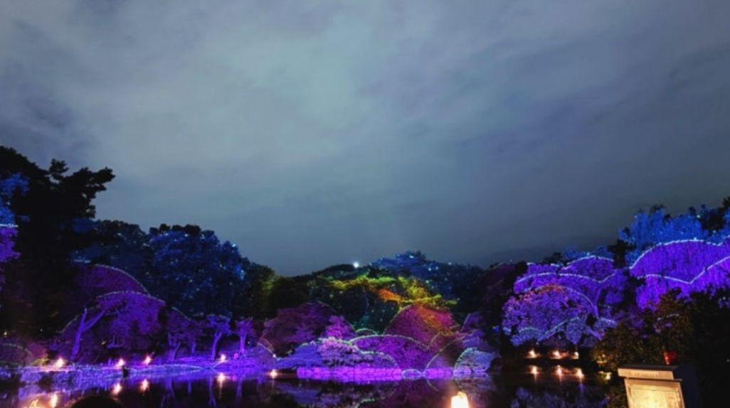 창경궁 야연 '물빛연화', 2025 창경궁 야연 A to Z 가이드 (예매, 주차, 코스) 5 창경궁 야간 상설 프로그램: 물빛연화