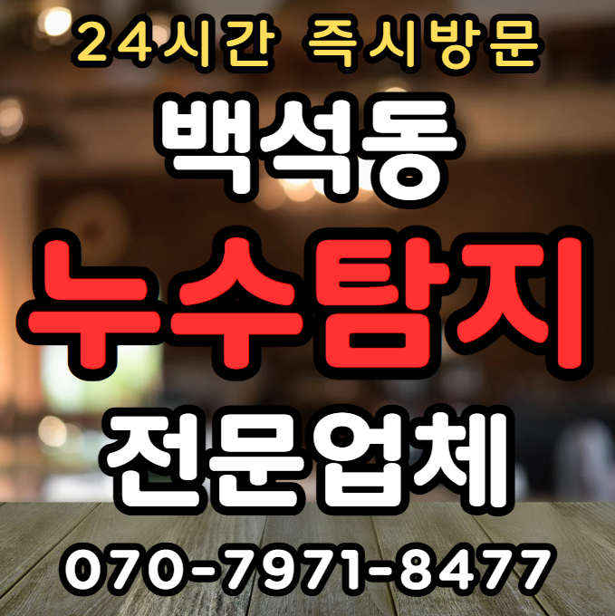 일산 백석동 누수 탐지1