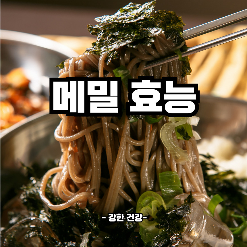메밀 효능